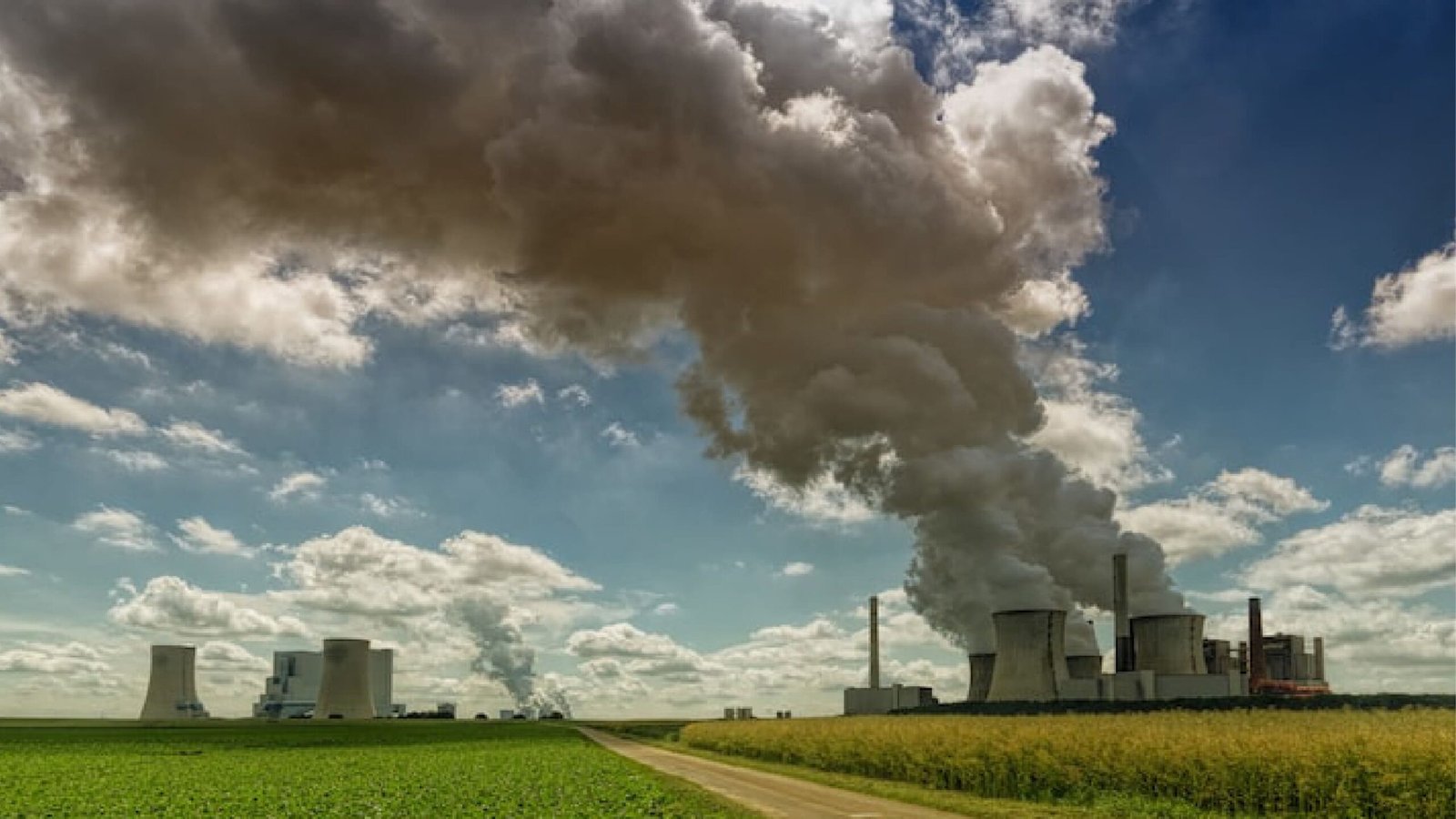 Bagaimana Insulasi Membantu Mengurangi Carbon Footprint Industri