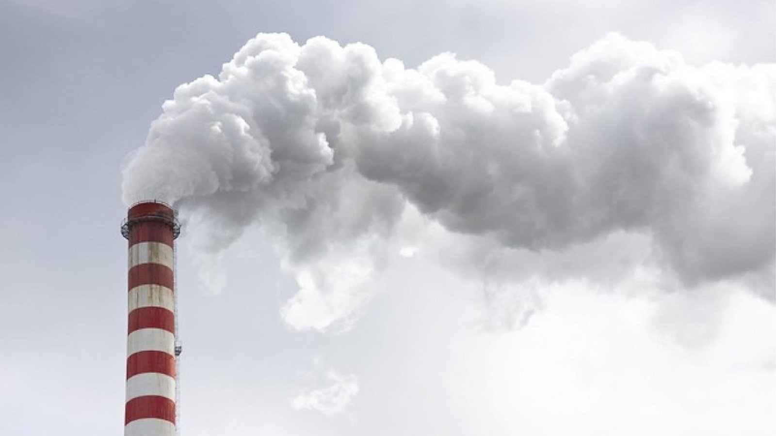 Heat Loss dalam Industri: Penyebab, Dampak, dan Cara Menguranginya